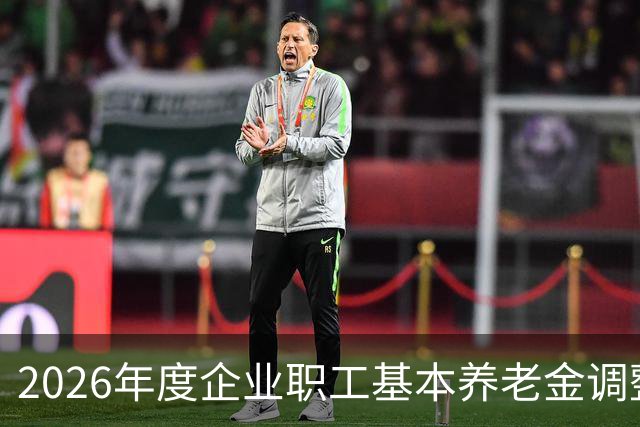 2026年度企业职工基本养老金调整现状分析